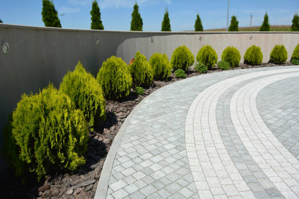 Best Local Driveway Pavers  in Sells, AZ